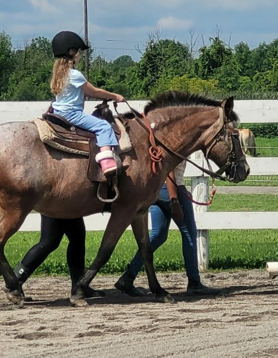 riding pony